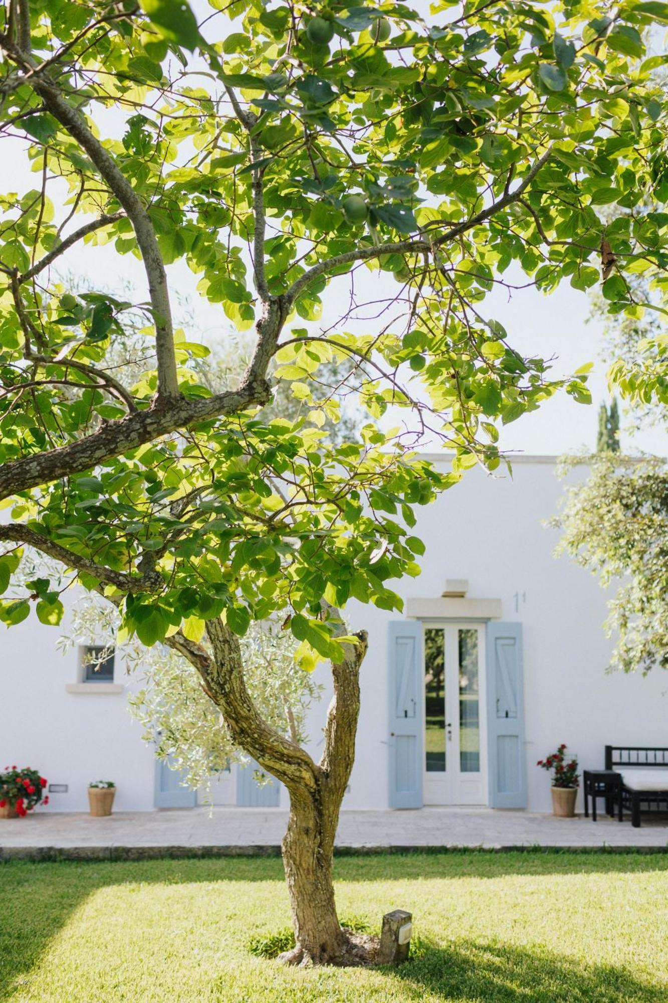 Masseria Montelauro Отранто Экстерьер фото