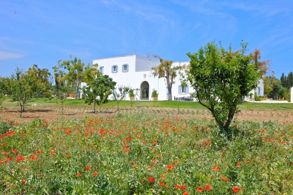 Masseria Montelauro Отранто Экстерьер фото